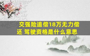 交强险追偿18万无力偿还 驾驶资格是什么意思